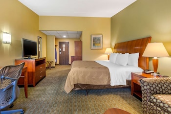 Standard Room, 1 King Bed with Sofa bed, Non Smoking