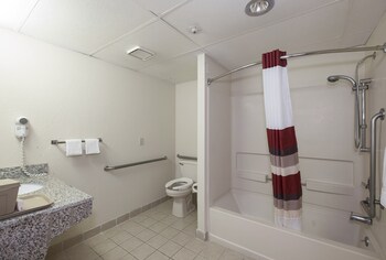 Deluxe Room, 1 King Bed, Accessible, Non Smoking