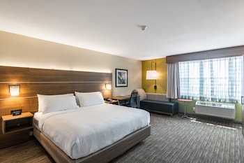 Standard Room, 1 King Bed, Accessible (Comm, Mobil, Accessible Tub)