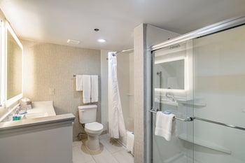 Suite, 1 Bedroom