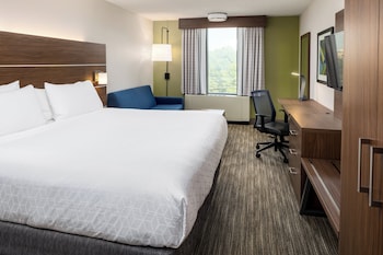 Standard Room, 1 King Bed with Sofa bed