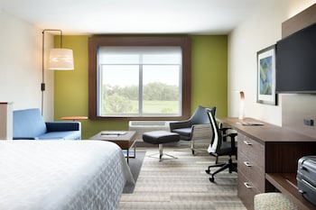 Standard Room, 1 King Bed with Sofa bed