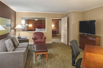 Suite, 1 King Bed, Accessible (Roll-In Shower)