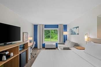 Room, 1 King Bed with Sofa bed