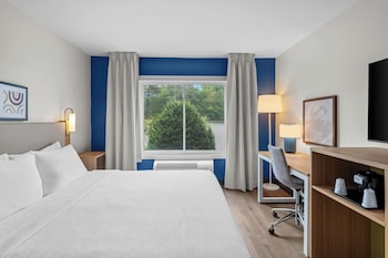 Room, 1 King Bed with Sofa bed