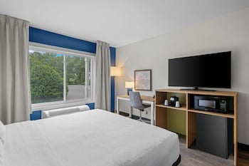 Room, 1 King Bed with Sofa bed