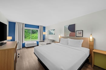 Room, 1 King Bed with Sofa bed