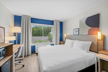 Room, 1 King Bed with Sofa bed