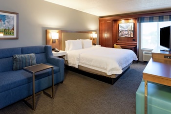 Room (1 King Study Sofabed Nonsmoking)