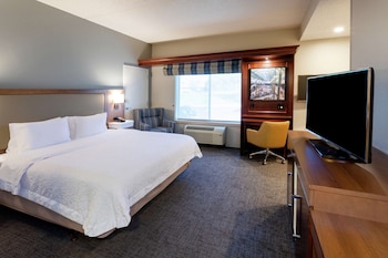 Room (1 King Deluxe w/Sofabed Nonsmoking)