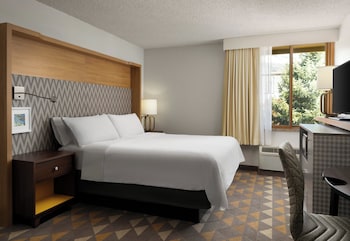 Suite, 1 Bedroom, Courtyard View