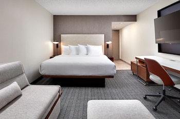Room, 1 King Bed with Sofa bed (Mobility/Hearing Access, Roll-In Shwr)