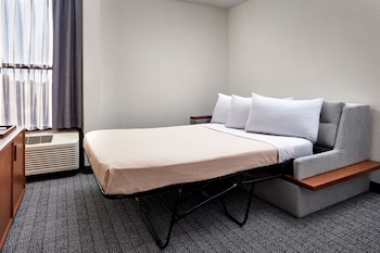 Room, 1 King Bed with Sofa bed (Mobility/Hearing Access, Roll-In Shwr)