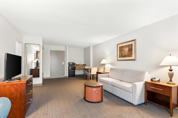 Suite, 1 King Bed with Sofa bed, Non Smoking