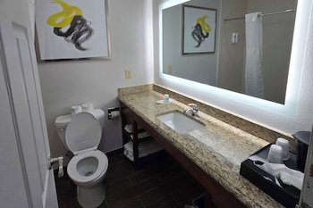Basic Suite, Multiple Beds, Non Smoking