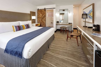Standard Room, 1 King Bed, Accessible (View)