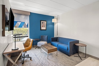 Suite, 1 King Bed