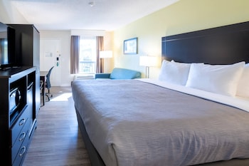 Room, 1 King Bed, Non Smoking