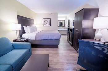 Standard Room, 1 King Bed with Sofa bed, Non Smoking