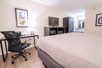 Standard Room, 1 King Bed, Non Smoking