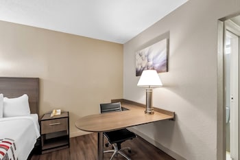 Superior Room, 1 King Bed, Non Smoking