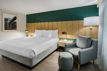 Standard Room, 1 King Bed, Accessible, Refrigerator & Microwave (Walk-in Shower)