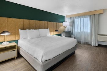 Standard Room, 1 King Bed, Accessible, Refrigerator & Microwave (Walk-in Shower)