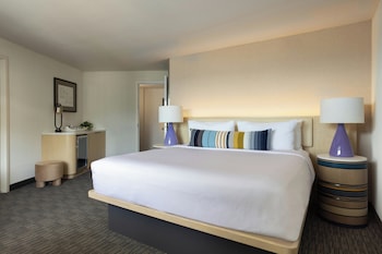 Superior Suite, 1 King Bed with Sofa bed, Accessible, Mountain View (Roll In Shower)