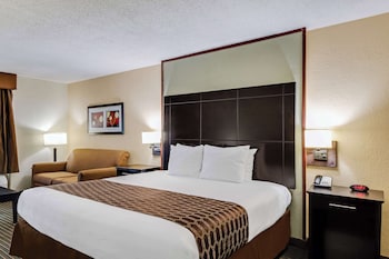 Standard Room, 1 King Bed, Non Smoking, Refrigerator & Microwave
