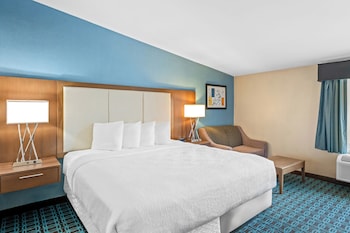 Standard Room, 1 King Bed, Non Smoking, Refrigerator