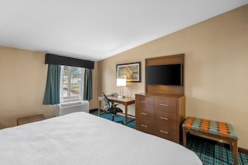 Standard Room, 1 King Bed, Non Smoking, Refrigerator