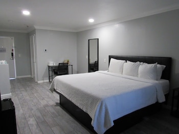 Room, 1 King Bed, Roll-in Shower, Non Smoking