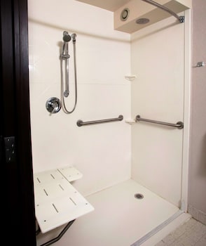 Room, Accessible (Roll-in Shower)