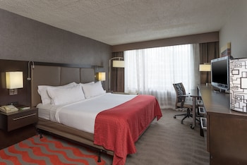 Standard Room, 1 King Bed with Sofa bed