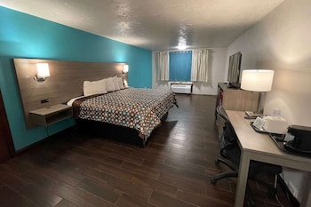 Room, 1 King Bed, Non Smoking (Dog Friendly)