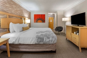 Standard Room, 1 King Bed, Non Smoking, Refrigerator