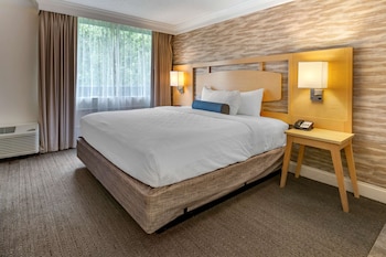 Suite, 1 King Bed, Non Smoking, Jetted Tub
