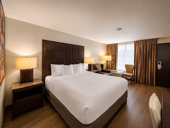 Standard Single Room, 1 King Bed, Non Smoking