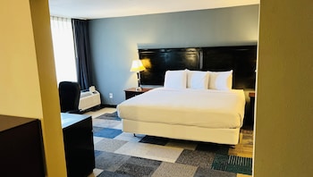Suite, 1 King Bed with Sofa bed, Non Smoking