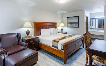 Deluxe Room, 1 King Bed with Sofa bed