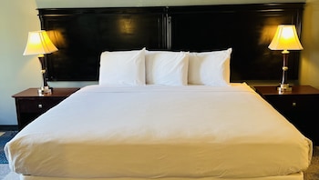 Suite, 1 King Bed with Sofa bed, Non Smoking