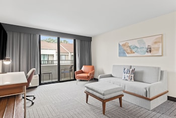 Suite, 1 Bedroom