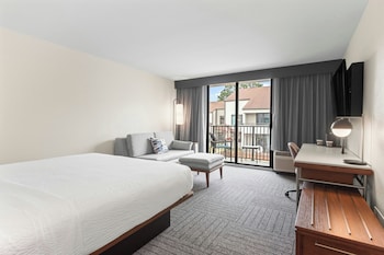 Suite, 1 Bedroom, Hearing Accessible