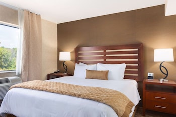 Room, 1 King Bed, Accessible