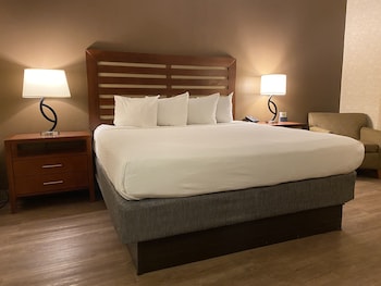 Room, 1 King Bed, Accessible