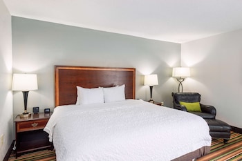 Studio Suite, 1 King Bed, Non Smoking