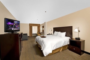 Room, 1 King Bed with Sofa bed, Non Smoking (Study)