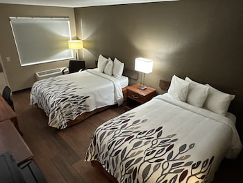 Deluxe Room, 2 Double Beds, Accessible, Non Smoking