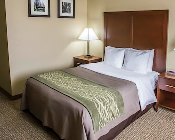 Standard Room, 1 Queen Bed, Accessible, Non Smoking