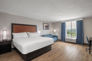 Suite, 1 King Bed